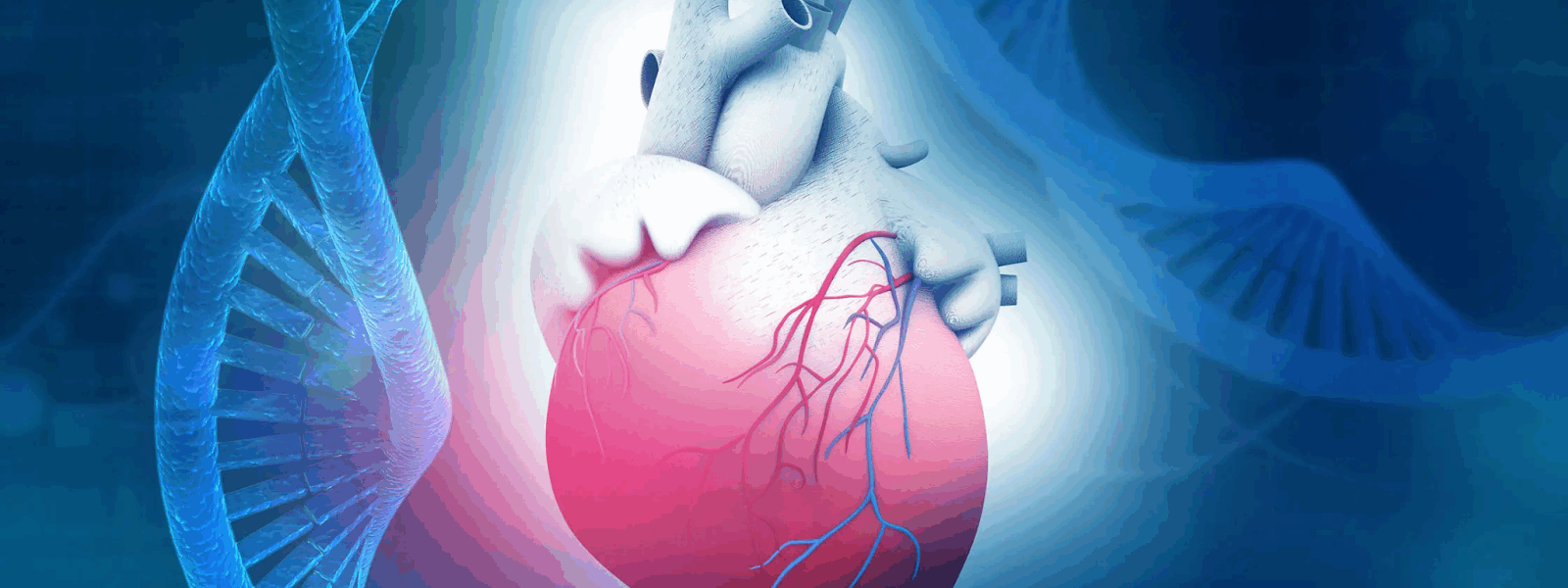 Herz-Kreislauf-Medizin