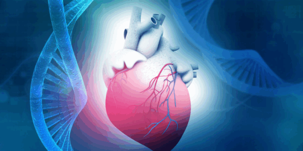 Herz-Kreislauf-Medizin